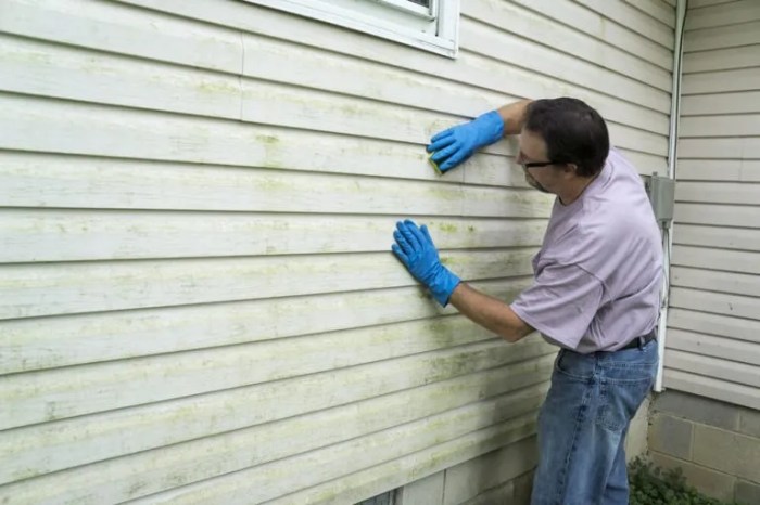 How to clean siding mold